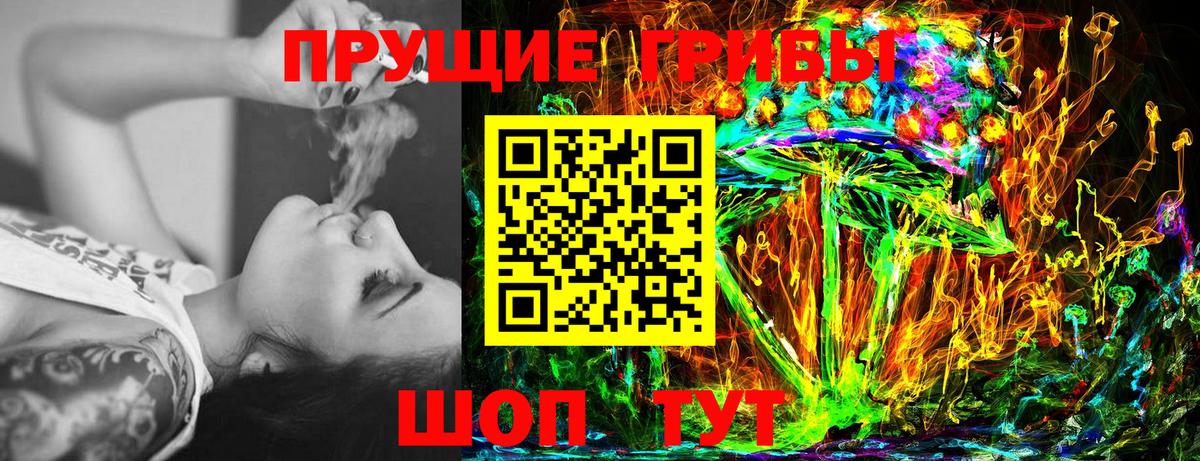Псилоцибиновые грибы GOLDEN TEACHER  Вход с VPN  Баксан 
