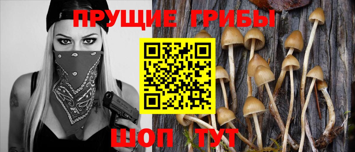 Галлюциногенные грибы GOLDEN TEACHER Баксан